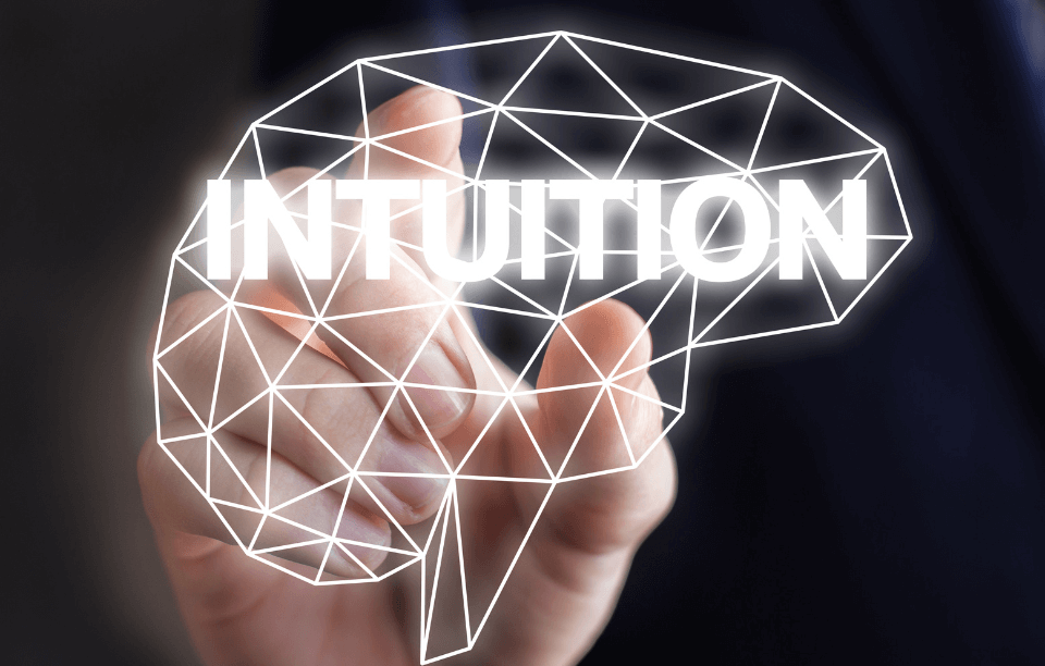 Understanding Intuition and Decision Making via the MBP